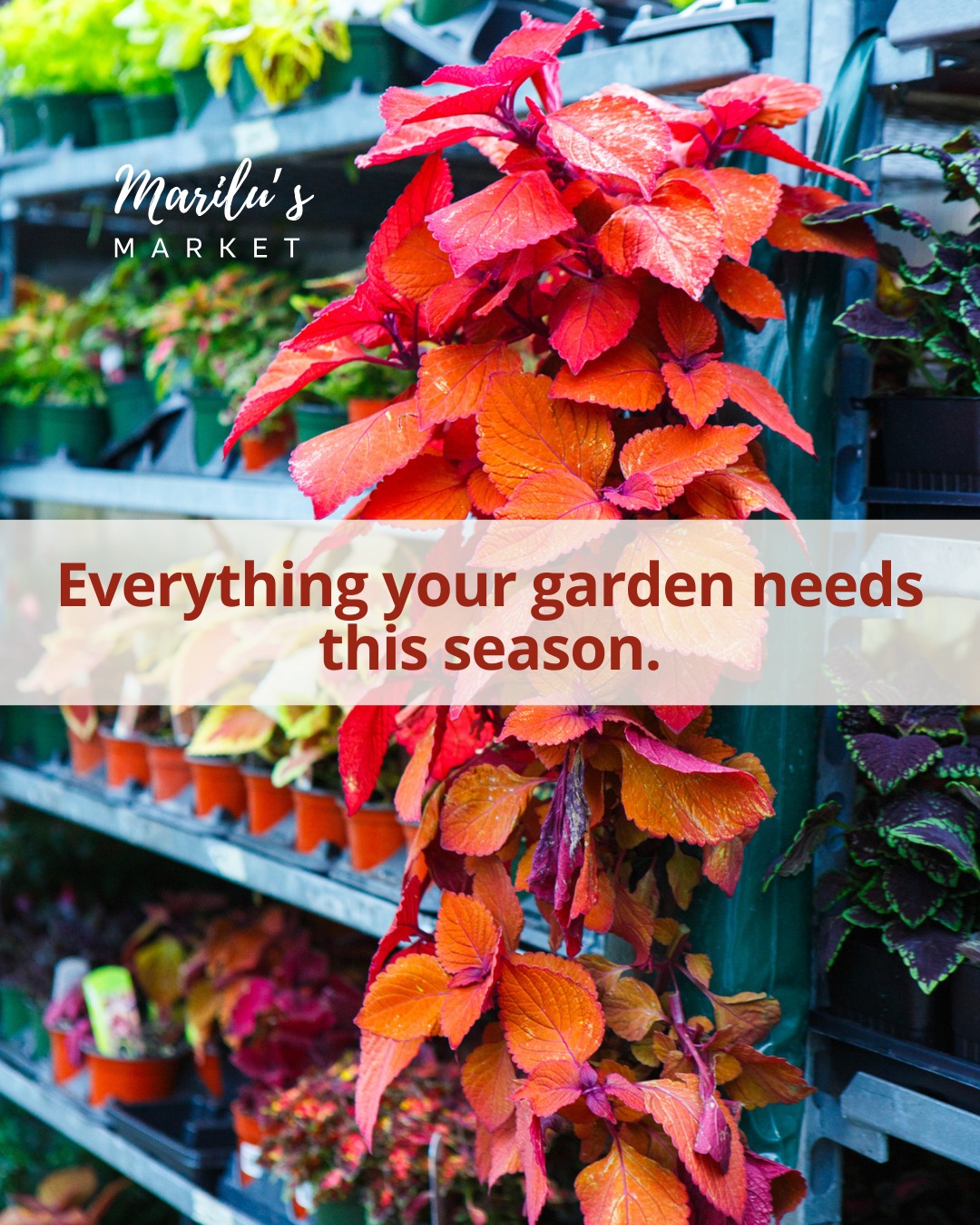 Garden season is here