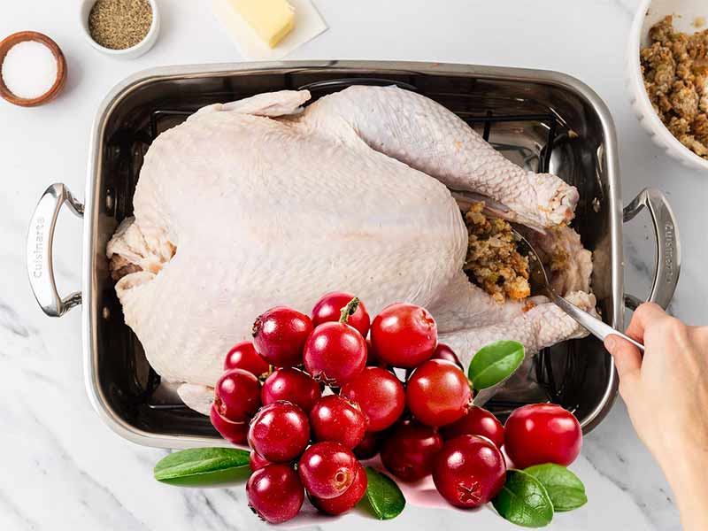 Stuffed Turkey (Cranberry Stuffing) (Fresh) (Uncooked)